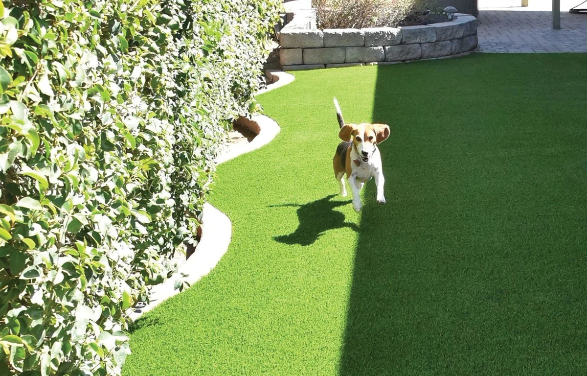 Drainage and Base Preparation in Richmond, TX